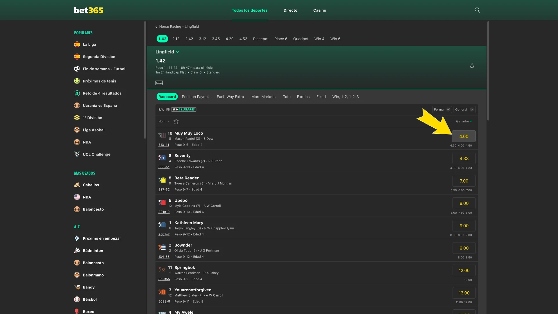 Bet365 ofrece tipos de apuestas variados para la hípica.