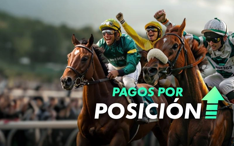 Asegura tus beneficios con los pagos por posición en competiciones hípicas de Bet365.