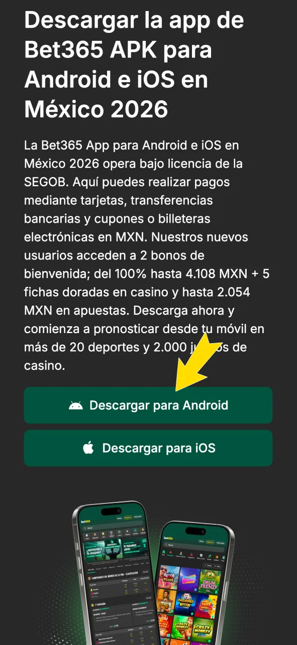 Busca la aplicación original en el portal de Bet365.