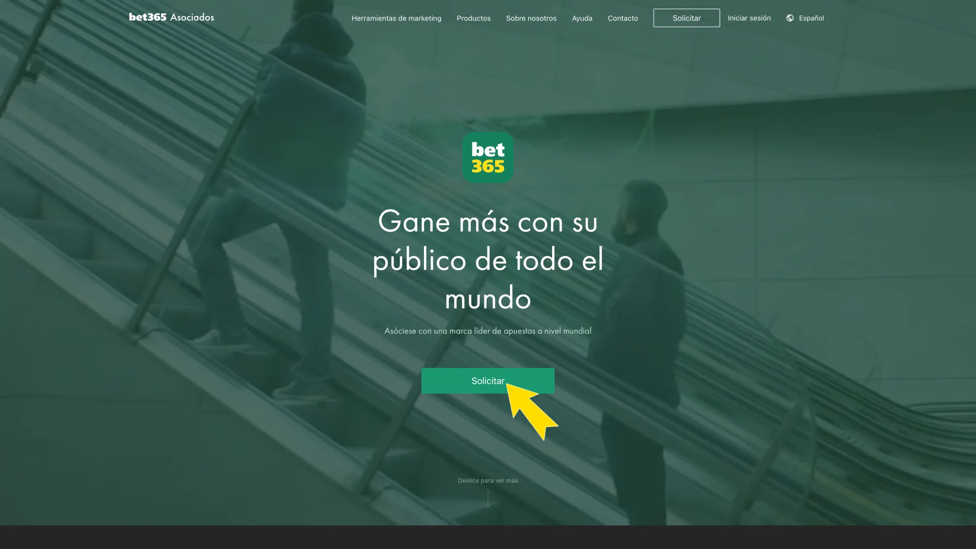 Ingresa a la sección de asociados en Bet365.